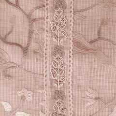 Golden Tissue Embroidered Suit Set
